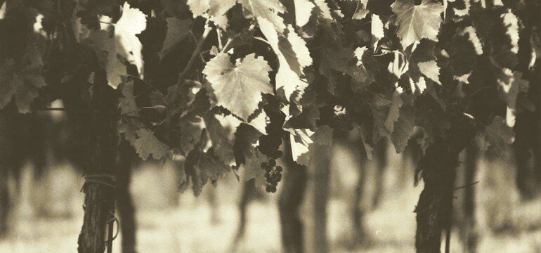 fantinel e colombarone