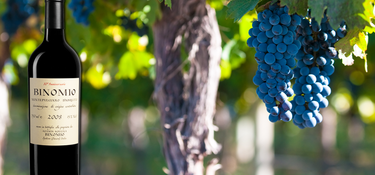 wineverse_wlog_luca-martini_la valentina-montepulciano-binomio