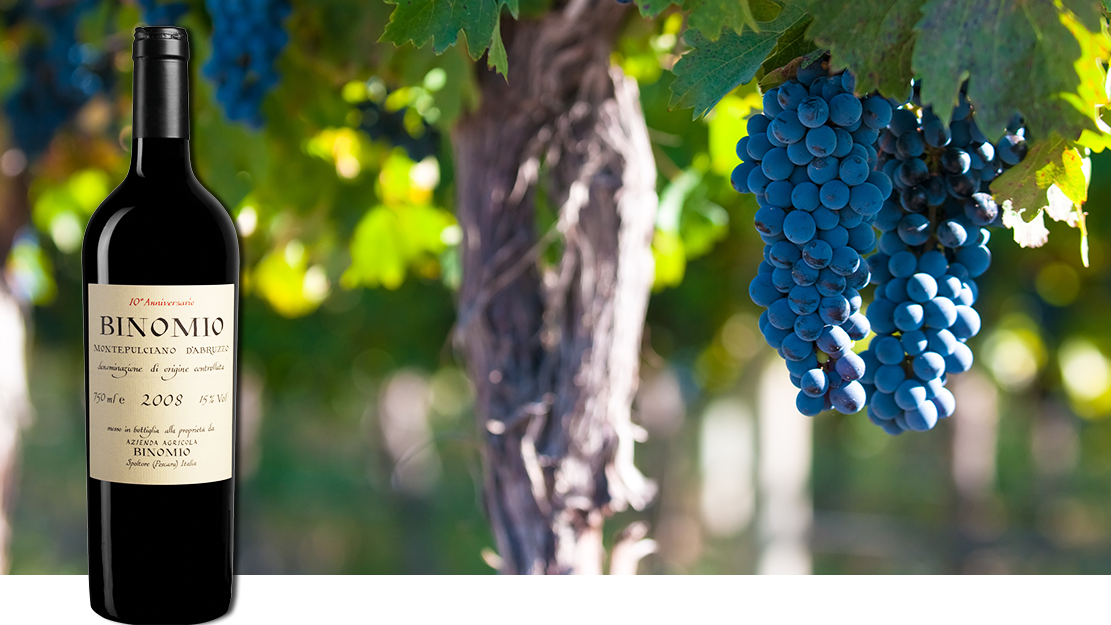 wineverse_wlog_luca-martini_la valentina-montepulciano-binomio