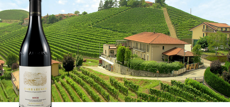 wineverse_wlog_ivano-antonini_barbaresco-ronchi-albino-rocca_header2