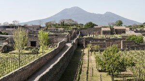 wineverse_wlog_chiara-giorleo_vino-antichi-romani-pompei_header