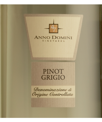 Pinot Grigio Venezia 2011