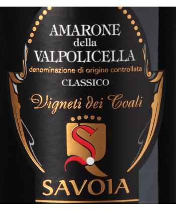Amarone della Valpolicella Vigneti dei Coali 2007 Magnum