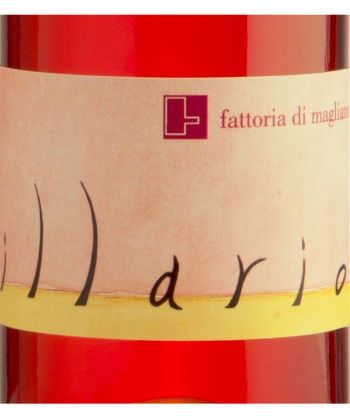 Maremma Toscana Sangiovese Illario