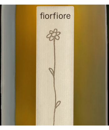 Todi Grechetto Superiore Fiorfiore