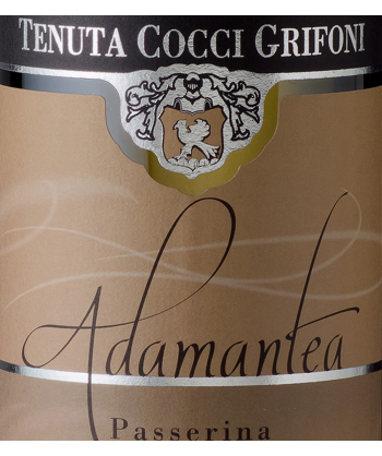 Passerina Adamantea 2012