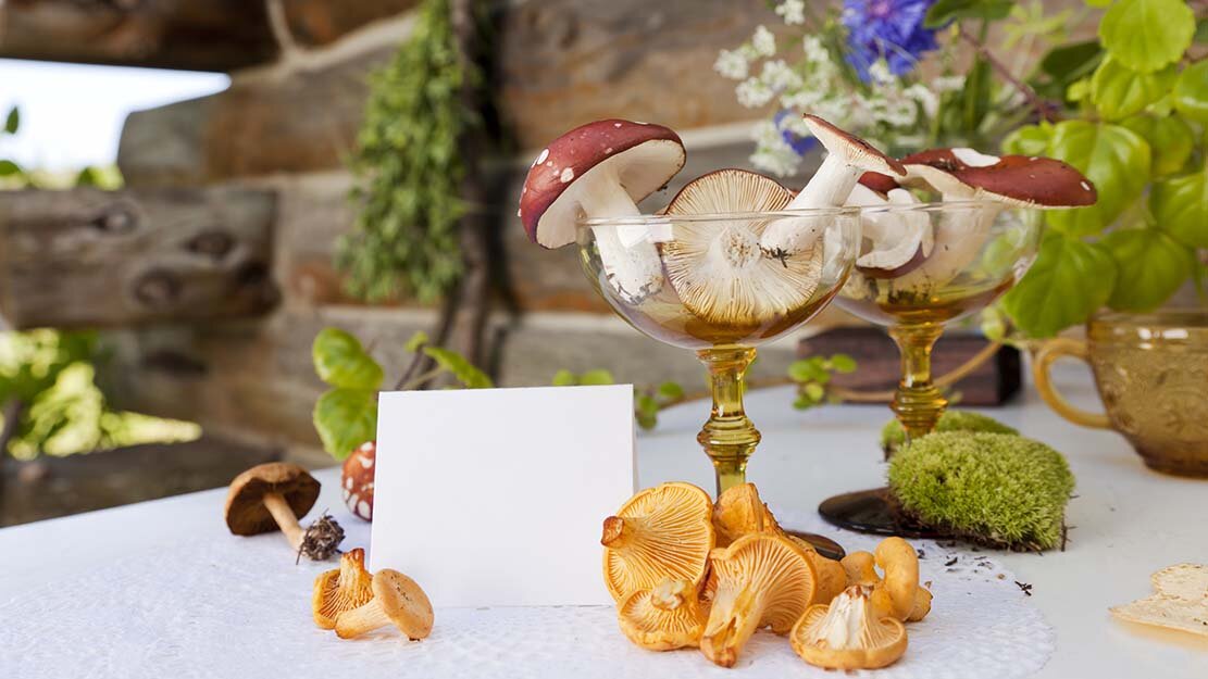 wineverse_wlog_enrica_bozzo_funghi_vino_header