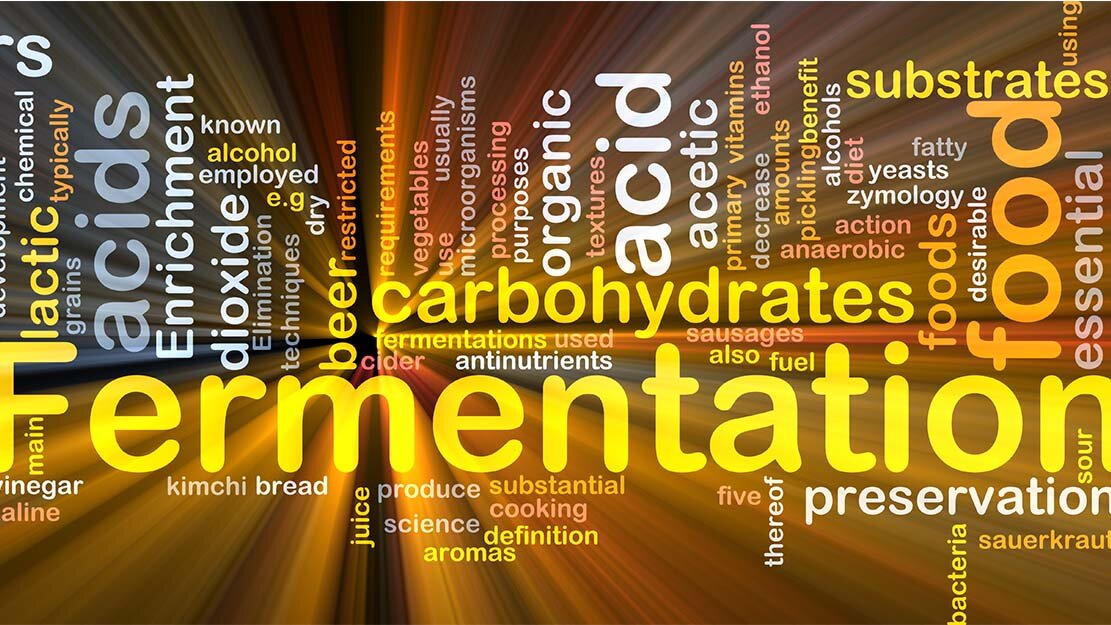 wineverse_wlog_lamberto_vini_biologici_biodinamici_header