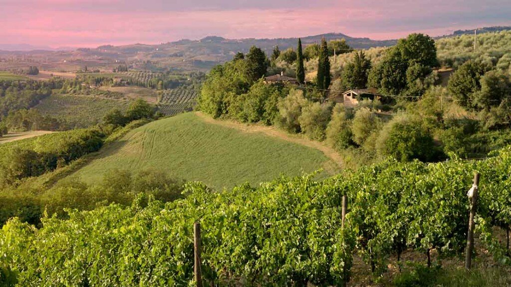 wineverse_wlog_enrica-bozzo_poggiale_Chianti_classico_castellare_castellina