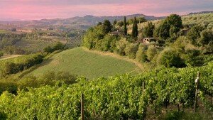wineverse_wlog_enrica-bozzo_poggiale_Chianti_classico_castellare_castellina