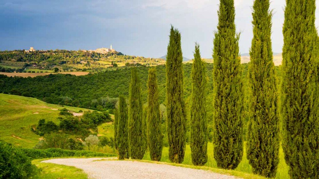 wineverse_wlog_enrica-bozzo_sua_maestà_brunello_montalcino_header